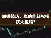 掌握技巧，真的能輕松捕獲大魚嗎？