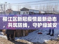 柳江區(qū)新冠疫情最新動態(tài)，共筑防線，守護(hù)綠城安寧