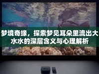 夢(mèng)境奇緣，探索夢(mèng)見(jiàn)耳朵里流出大水水的深層含義與心理解析
