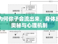 探索為何你子會(huì)流出來(lái)，身體反應(yīng)的奧秘與心理機(jī)制