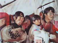 夢(mèng)幻手游龍女血敏，如何玩轉(zhuǎn)策略與技巧？
