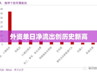 外資單日凈流出創(chuàng)歷史新高