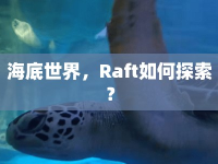 海底世界，Raft如何探索？