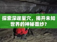 探索深邃巢穴，揭開未知世界的神秘面紗？