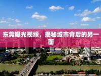 東莞曝光視頻，揭秘城市背后的另一面