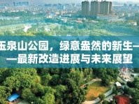 玉泉山公園，綠意盎然的新生——最新改造進展與未來展望