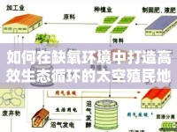 如何在缺氧環(huán)境中打造高效生態(tài)循環(huán)的太空殖民地？