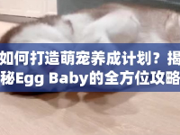 如何打造萌寵養(yǎng)成計(jì)劃？揭秘Egg Baby的全方位攻略！