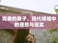 完美的妻子，現(xiàn)代婚姻中的理想與現(xiàn)實(shí)