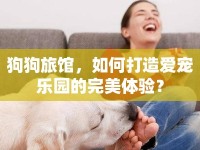 狗狗旅館，如何打造愛(ài)寵樂(lè)園的完美體驗(yàn)？