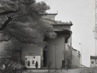 鳳凰碎片的傳奇之旅，彈彈堂手游中隱藏的秘密你了解多少？