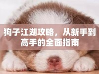 狗子江湖攻略，從新手到高手的全面指南
