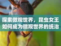 探索微觀世界，昆蟲女王如何成為微觀世界的統(tǒng)治者？