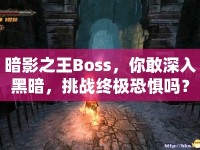 暗影之王Boss，你敢深入黑暗，挑戰(zhàn)終極恐懼嗎？