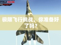 極限飛行挑戰(zhàn)，你準(zhǔn)備好了嗎？