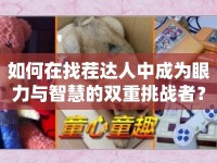 如何在找茬達(dá)人中成為眼力與智慧的雙重挑戰(zhàn)者？