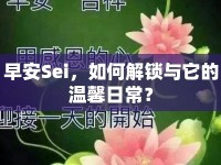 早安Sei，如何解鎖與它的溫馨日常？