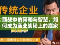 商戰(zhàn)中的策略與智慧，如何成為商業(yè)戰(zhàn)場(chǎng)上的贏家？