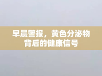 早晨警報(bào)，黃色分泌物背后的健康信號(hào)