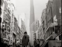 她為何被稱為麻麻的朋友？——揭秘這位多才多藝的人生導(dǎo)師！
