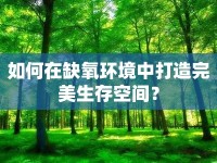如何在缺氧環(huán)境中打造完美生存空間？