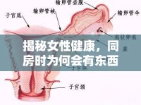 揭秘女性健康，同房時為何會有東西流出來？