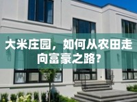 大米莊園，如何從農(nóng)田走向富豪之路？