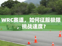 WRC賽道，如何征服極限，挑戰(zhàn)速度？