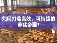 如何打造高效、可持續(xù)的養(yǎng)豬帝國？