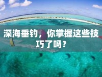 深海垂釣，你掌握這些技巧了嗎？