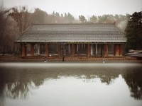 夢(mèng)幻手游隔離期，玩家如何度過這段特殊游戲旅程？