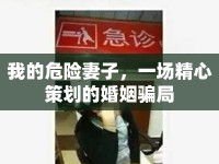 我的危險(xiǎn)妻子，一場(chǎng)精心策劃的婚姻騙局