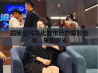 揭秘空氣凈化器市場的隱形陷阱，央視曝光