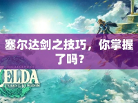 塞爾達(dá)劍之技巧，你掌握了嗎？