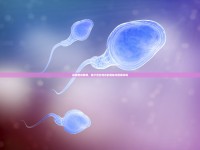 探索愛的釋放，精子流出背后的奧秘與情感共鳴