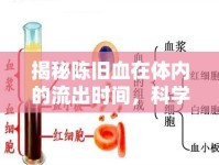 揭秘陳舊血在體內(nèi)的流出時(shí)間，科學(xué)解析與健康啟示