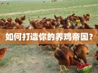 如何打造你的養(yǎng)雞帝國(guó)？