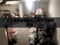 武漢電視臺曝光臺，陽光下的照妖鏡