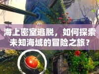 海上密室逃脫，如何探索未知海域的冒險之旅？