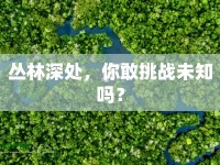 叢林深處，你敢挑戰(zhàn)未知嗎？