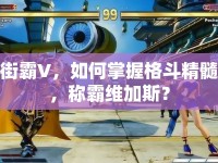 街霸V，如何掌握格斗精髓，稱霸維加斯？