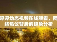 婷婷動(dòng)態(tài)視頻在線觀看，網(wǎng)絡(luò)熱議背后的現(xiàn)象分析