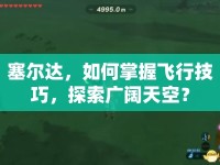 塞爾達(dá)，如何掌握飛行技巧，探索廣闊天空？