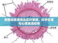 射精后精液流出應(yīng)對策略，科學(xué)處理與心理調(diào)適指南