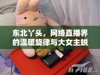 東北丫頭，網(wǎng)絡(luò)直播界的溫暖旋律與大女主蛻變之旅