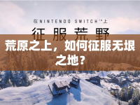 荒原之上，如何征服無垠之地？
