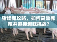 豬場新攻略，如何高效養(yǎng)殖并迎接趣味挑戰(zhàn)？