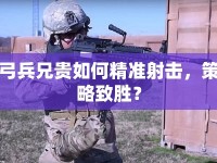 弓兵兄貴如何精準(zhǔn)射擊，策略致勝？