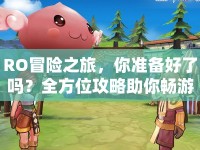 RO冒險(xiǎn)之旅，你準(zhǔn)備好了嗎？全方位攻略助你暢游游戲世界！