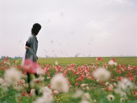 神武手游中，如何科學(xué)喂養(yǎng)孩子，讓孩子成為未來之星？